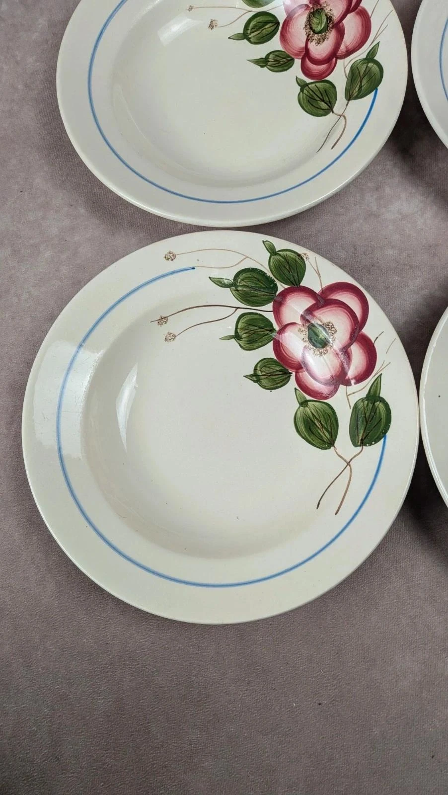 Set of 9 Sarreguemines Liliane model hollow plates – photo 4
